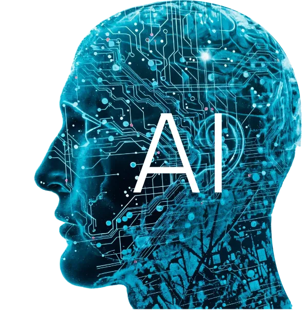 The Essence Of A Peaceful Life Comes From Home